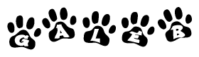The image shows a row of animal paw prints, each containing a letter. The letters spell out the word Galeb within the paw prints.