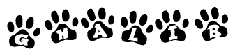 The image shows a series of animal paw prints arranged in a horizontal line. Each paw print contains a letter, and together they spell out the word Ghalib.