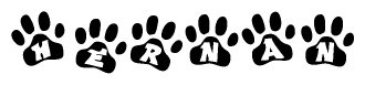 The image shows a series of animal paw prints arranged horizontally. Within each paw print, there's a letter; together they spell Hernan