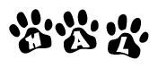 The image shows a row of animal paw prints, each containing a letter. The letters spell out the word Hal within the paw prints.