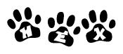 The image shows a series of animal paw prints arranged horizontally. Within each paw print, there's a letter; together they spell Hex
