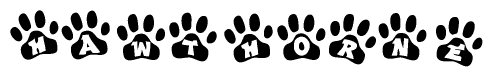 The image shows a series of animal paw prints arranged horizontally. Within each paw print, there's a letter; together they spell Hawthorne