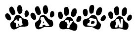 The image shows a row of animal paw prints, each containing a letter. The letters spell out the word Haydn within the paw prints.