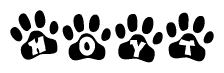The image shows a series of animal paw prints arranged in a horizontal line. Each paw print contains a letter, and together they spell out the word Hoyt.