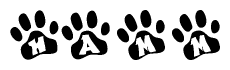 The image shows a row of animal paw prints, each containing a letter. The letters spell out the word Hamm within the paw prints.