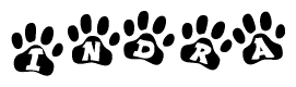 The image shows a row of animal paw prints, each containing a letter. The letters spell out the word Indra within the paw prints.