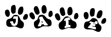 The image shows a series of animal paw prints arranged horizontally. Within each paw print, there's a letter; together they spell Jaie