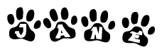 The image shows a series of animal paw prints arranged in a horizontal line. Each paw print contains a letter, and together they spell out the word Jane.