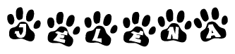 The image shows a series of animal paw prints arranged in a horizontal line. Each paw print contains a letter, and together they spell out the word Jelena.