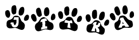 The image shows a series of animal paw prints arranged in a horizontal line. Each paw print contains a letter, and together they spell out the word Jitka.