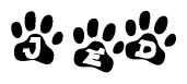 The image shows a series of animal paw prints arranged horizontally. Within each paw print, there's a letter; together they spell Jed