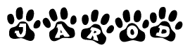 The image shows a series of animal paw prints arranged in a horizontal line. Each paw print contains a letter, and together they spell out the word Jarod.