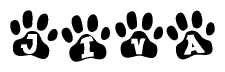 The image shows a series of animal paw prints arranged in a horizontal line. Each paw print contains a letter, and together they spell out the word Jiva.