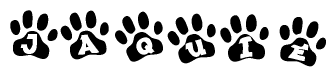 The image shows a series of animal paw prints arranged horizontally. Within each paw print, there's a letter; together they spell Jaquie