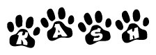 The image shows a series of animal paw prints arranged horizontally. Within each paw print, there's a letter; together they spell Kash