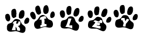 The image shows a series of animal paw prints arranged in a horizontal line. Each paw print contains a letter, and together they spell out the word Kiley.