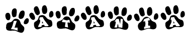 The image shows a series of animal paw prints arranged in a horizontal line. Each paw print contains a letter, and together they spell out the word Latania.