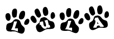 The image shows a row of animal paw prints, each containing a letter. The letters spell out the word Lula within the paw prints.