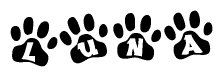 The image shows a series of animal paw prints arranged horizontally. Within each paw print, there's a letter; together they spell Luna