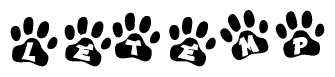 The image shows a series of animal paw prints arranged in a horizontal line. Each paw print contains a letter, and together they spell out the word Letemp.