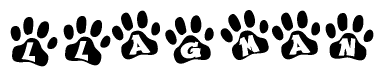 The image shows a row of animal paw prints, each containing a letter. The letters spell out the word Llagman within the paw prints.
