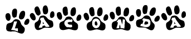 The image shows a series of animal paw prints arranged in a horizontal line. Each paw print contains a letter, and together they spell out the word Laconda.