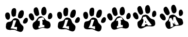 The image shows a series of animal paw prints arranged in a horizontal line. Each paw print contains a letter, and together they spell out the word Lilliam.