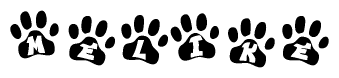 The image shows a series of animal paw prints arranged in a horizontal line. Each paw print contains a letter, and together they spell out the word Melike.