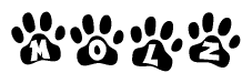 The image shows a series of animal paw prints arranged in a horizontal line. Each paw print contains a letter, and together they spell out the word Molz.