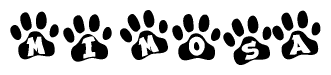 The image shows a series of animal paw prints arranged horizontally. Within each paw print, there's a letter; together they spell Mimosa
