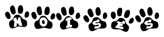 The image shows a series of animal paw prints arranged in a horizontal line. Each paw print contains a letter, and together they spell out the word Moises.
