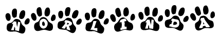 The image shows a series of animal paw prints arranged horizontally. Within each paw print, there's a letter; together they spell Norlinda