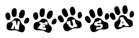 The image shows a row of animal paw prints, each containing a letter. The letters spell out the word Neusa within the paw prints.