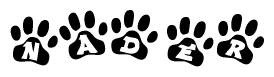 The image shows a series of animal paw prints arranged in a horizontal line. Each paw print contains a letter, and together they spell out the word Nader.