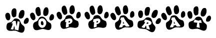 The image shows a series of animal paw prints arranged in a horizontal line. Each paw print contains a letter, and together they spell out the word Nopparat.