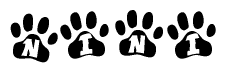 The image shows a series of animal paw prints arranged in a horizontal line. Each paw print contains a letter, and together they spell out the word Nini.