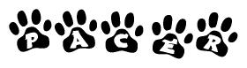 The image shows a row of animal paw prints, each containing a letter. The letters spell out the word Pacer within the paw prints.