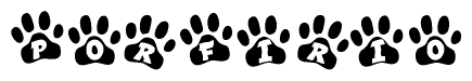 The image shows a series of animal paw prints arranged in a horizontal line. Each paw print contains a letter, and together they spell out the word Porfirio.