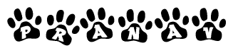 The image shows a series of animal paw prints arranged horizontally. Within each paw print, there's a letter; together they spell Pranav