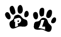 The image shows a row of animal paw prints, each containing a letter. The letters spell out the word Pl within the paw prints.