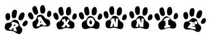The image shows a series of animal paw prints arranged in a horizontal line. Each paw print contains a letter, and together they spell out the word Raxonnie.