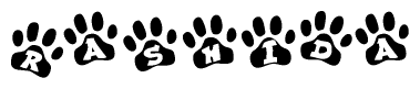 The image shows a series of animal paw prints arranged in a horizontal line. Each paw print contains a letter, and together they spell out the word Rashida.