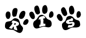 The image shows a row of animal paw prints, each containing a letter. The letters spell out the word Ris within the paw prints.