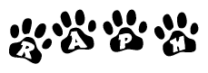The image shows a series of animal paw prints arranged in a horizontal line. Each paw print contains a letter, and together they spell out the word Raph.