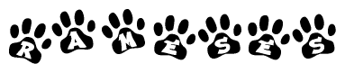 The image shows a series of animal paw prints arranged in a horizontal line. Each paw print contains a letter, and together they spell out the word Rameses.