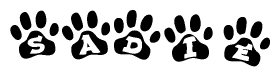 The image shows a series of animal paw prints arranged horizontally. Within each paw print, there's a letter; together they spell Sadie