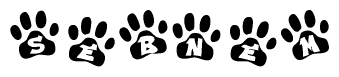 The image shows a row of animal paw prints, each containing a letter. The letters spell out the word Sebnem within the paw prints.