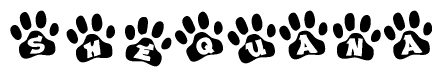 The image shows a series of animal paw prints arranged in a horizontal line. Each paw print contains a letter, and together they spell out the word Shequana.