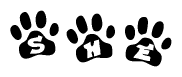 The image shows a series of animal paw prints arranged in a horizontal line. Each paw print contains a letter, and together they spell out the word She.