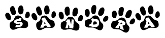 The image shows a series of animal paw prints arranged horizontally. Within each paw print, there's a letter; together they spell Sandra